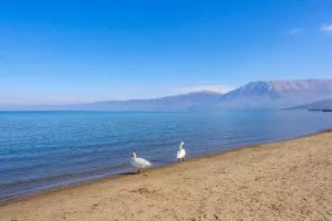Ohrid-spiaggia sabbiosa